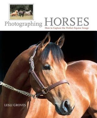 Read Online Photographing Horses: How to Capture the Perfect Equine Image - Lesli Groves | PDF