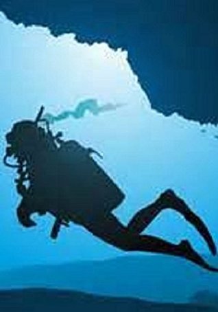 Download Scuba Diving: diving games: deep sea diving: scuba diving gear: diving: Everything you need to know - Dale Waller | PDF
