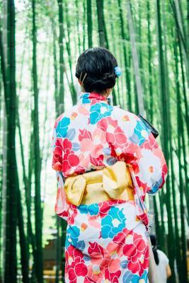Full Download Woman in a Colorful Kimono Walking in a Gorgeous Green Bamboo Forest Journal: 150 Page Lined Notebook/Diary -  | PDF