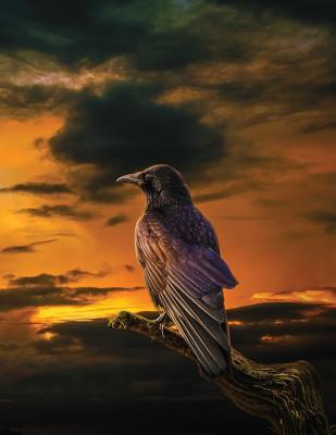 Read The Raven at Dawn 1-2-Inch Hex-Grid Sketchbook -  | ePub