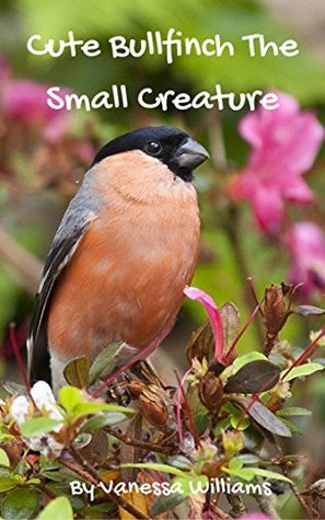 Download Cute Bullfinch The Small Creature: 87 pages large size Photo books, photo books nature, photo books adults, photo books children, photo books kindles (photo book birds 2) - Vanessa Williams | ePub
