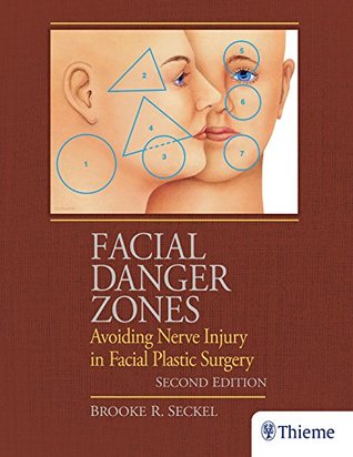 Download Facial Danger Zones: Avoiding Nerve Injury in Facial Plastic Surgery - Brooke Seckel file in PDF