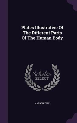 Read Plates Illustrative of the Different Parts of the Human Body - Andrew Fyfe file in PDF