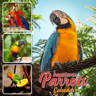 Read Beauteous Parrots Calendar: 16 Month Calendar with Beautiful Parrots (Sept 2017 - Dec 2018) -  | ePub