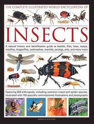 Download The Complete Illustrated World Encyclopedia of Insects: A Natural History and Identification Guide to Beetles, Flies, Bees, Wasps, Mayflies, Dragonflies, Cockroaches, Mantids, Earwigs, Ants, and Many More - Martin Walters file in ePub