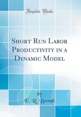 Download Short Run Labor Productivity in a Dynamic Model (Classic Reprint) - Ernst R. Berndt | ePub