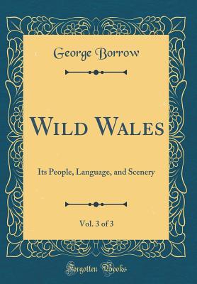 Full Download Wild Wales, Vol. 3 of 3: Its People, Language, and Scenery (Classic Reprint) - George Borrow file in PDF