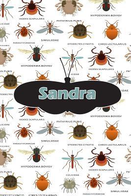 Download Sandra: Bug Insect Journal Notebook 120 Pages 6x9 -  file in ePub
