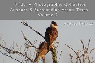 Read Birds: A Photographic Collection: Anahuac & Surrounding Areas: Texas - Volume 4 (Birds of Anahuac) - August Farrow | PDF